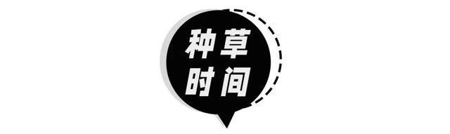 星辉登录：卫衣+半裙、薄外套+半裙，初秋最in穿搭，太温柔太撩人了！